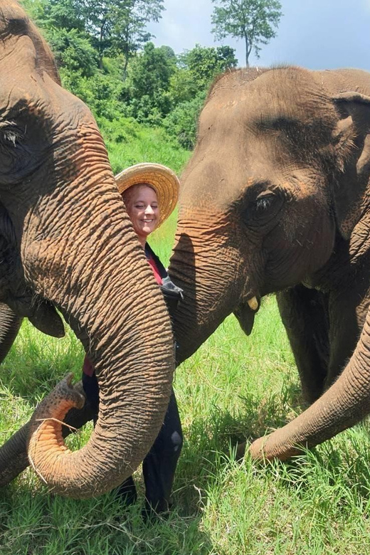 Rantong elephant sanctuary Chiangmai - 4 hours with culture and camp time, what the flow really feels like
