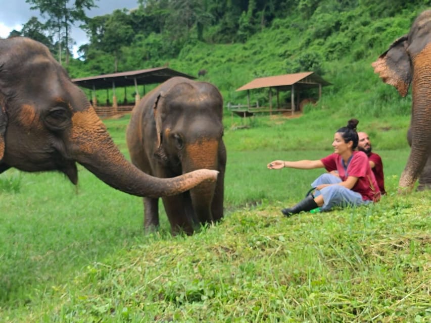 Rantong elephant sanctuary Chiangmai - The Thai lunch or dinner piece, and why it’s built in