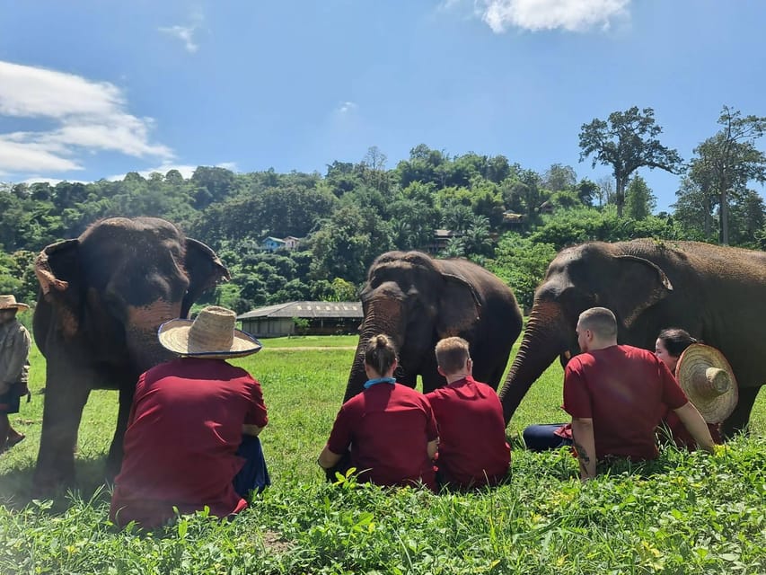 Rantong elephant sanctuary Chiangmai - Price and value: is about $57 fair for 4 hours?