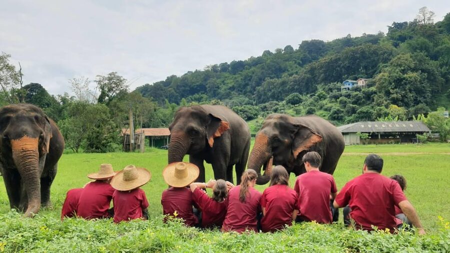 Rantong elephant sanctuary Chiangmai - Who this program suits best, and who should think twice