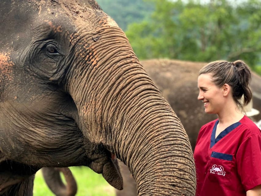 Rantong elephant sanctuary Chiangmai - Should you book Rantong Elephant Sanctuary Chiang Mai?