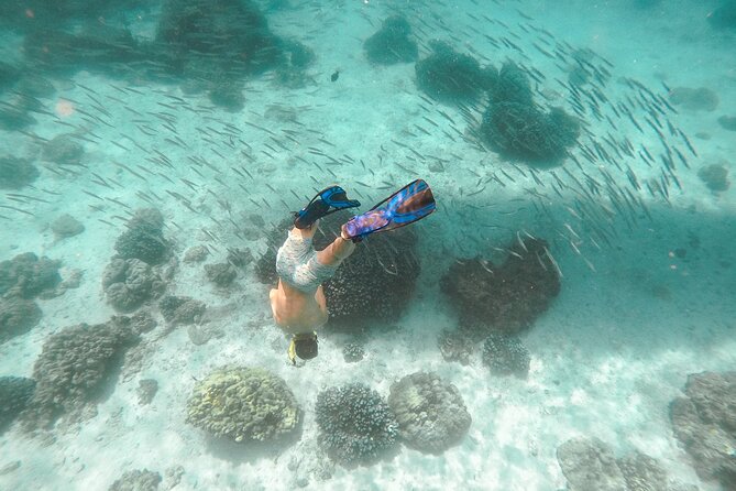Raya Island / Mai Ton Island Private Boat Tour - Koh Racha Yai and Siam Bay: where the snorkel payoff is biggest