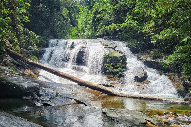 Rayong Adventure Full day Trip from Pattaya Tour - Khao Chamao-Khao Wong: waterfalls, roots, and fish in the stream
