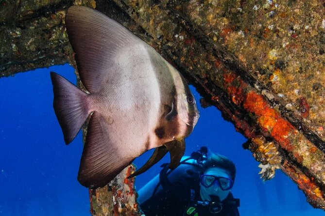 Refresher scuba diving trip, 3 dives at Racha Noi and Racha Yai - Phuket logistics: pickup, timing, and what the day actually feels like