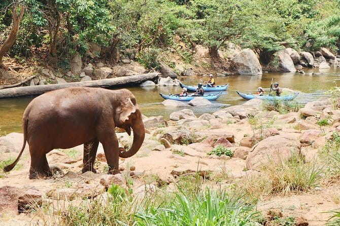 Safety whitewater rafting in Chiangmai by Khampan Rafting - Vegetarian Pad Thai Lunch and What to Plan for After