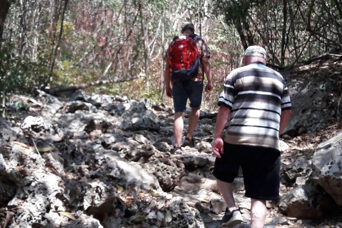 Sam Roi Yod National Park & Praya Nakhon Cave Join Group Tour - Pineapple plantation and boat return: useful breaks, not the main event