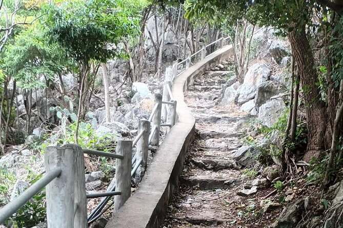 Sam Roi Yod National Park & Praya Nakhon Cave Private Tour from Hua Hin - The rest of the day: park return, lunch, and pineapple fields