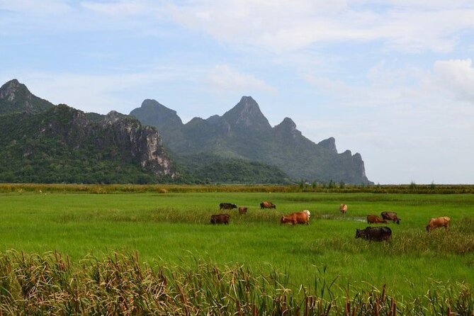 Sam Roi Yod National Park & Praya Nakhon Cave Private Tour from Hua Hin - FAQ