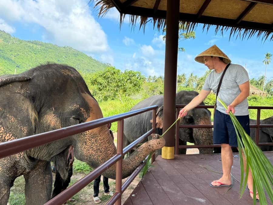 Samui:Elephant Jungle experience & The First Elephant Museum - Mahout food prep and the real story of nutrition