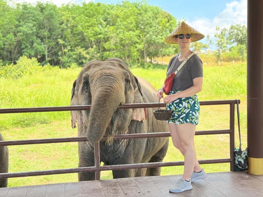 Samui:Elephant Jungle experience & The First Elephant Museum - Seed bombs in the forest: conservation you can help with