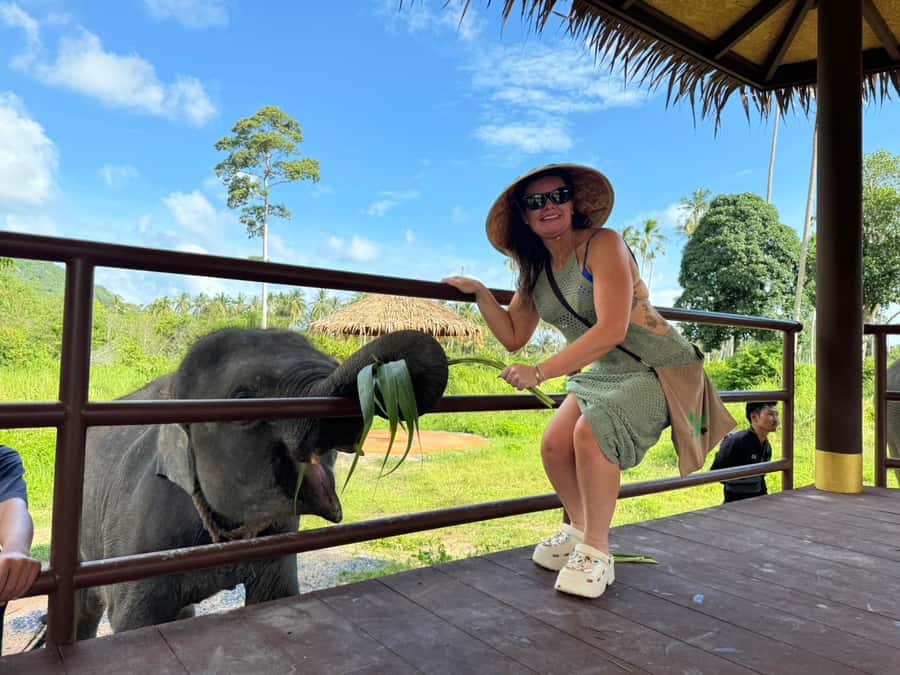 Samui:Elephant Jungle experience & The First Elephant Museum - Practical tips so you enjoy the jungle part