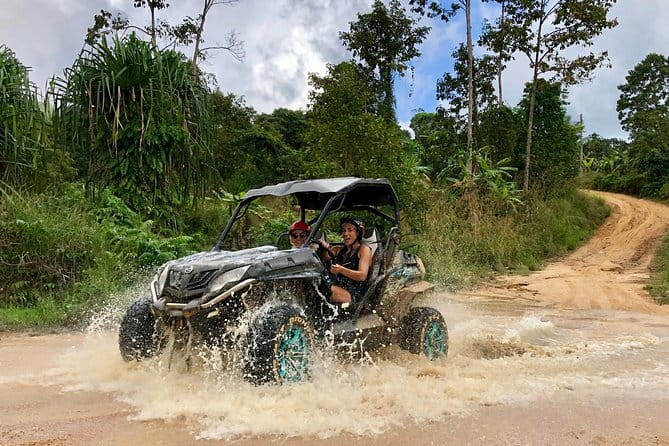 Samui Elephant Kingdom Ethical Sanctuary and Skywalk Tour - What the day looks like end to end, including your meal