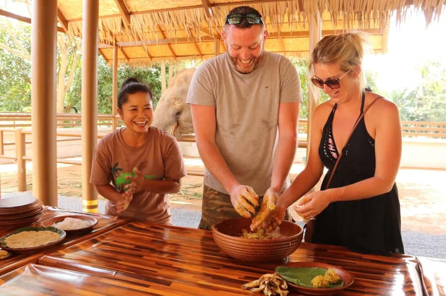 Samui: Elephant Nutrition and Care Education Experience - Elephant Nutrition in Koh Samui: What Makes This Visit Different