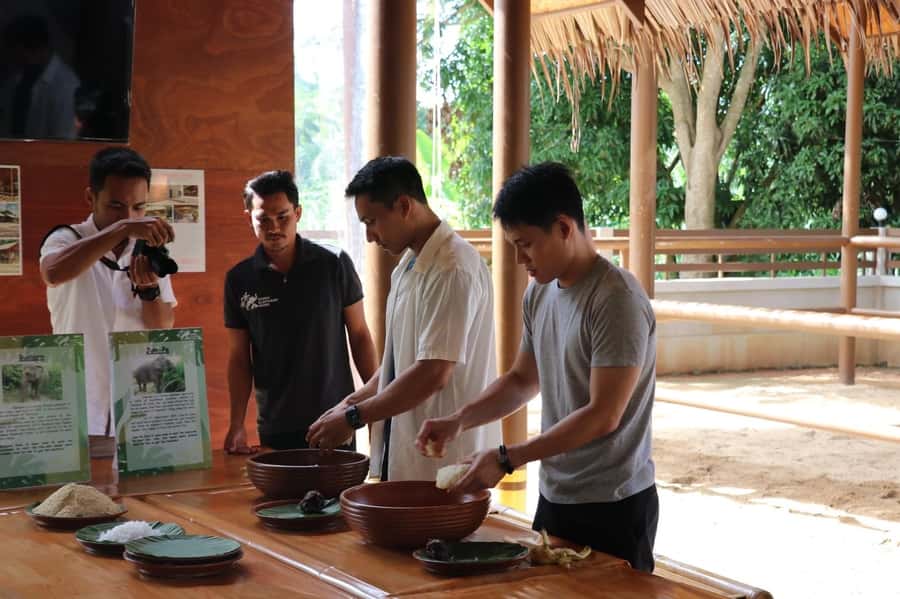 Samui: Elephant Nutrition and Care Education Experience - The Nutrition Lesson: Why Diet Matters for Elephant Health