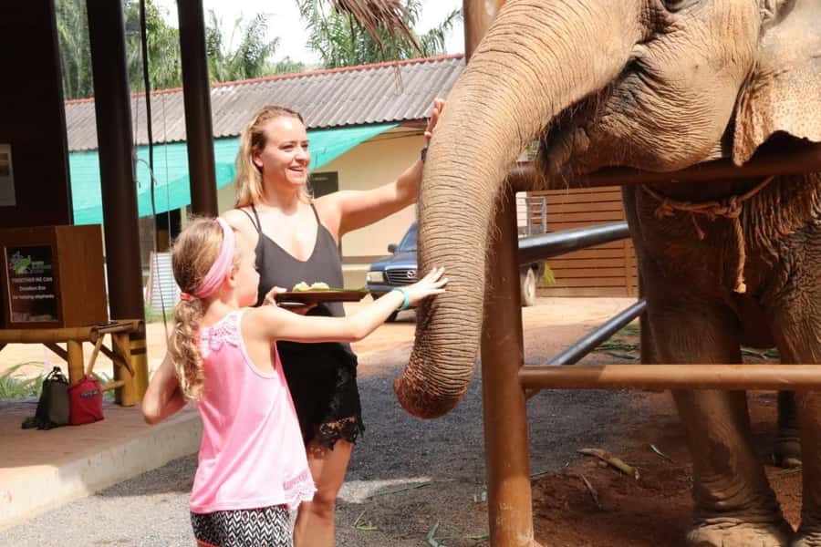 Samui: Elephant Nutrition and Care Education Experience - Preparing the Supplementary Food: A Simple Activity With Real Care Behind It