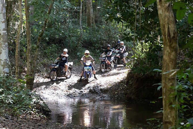 Scooter Adventure with elephants, views and FUN drive yourself - Riding Chiang Mai on a scooter beats the usual walking day