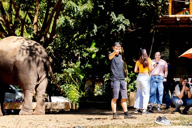 Scooter Adventure with elephants, views and FUN drive yourself - Elephant Fun Farm Chiangmai Thailand: close-up time with clear expectations