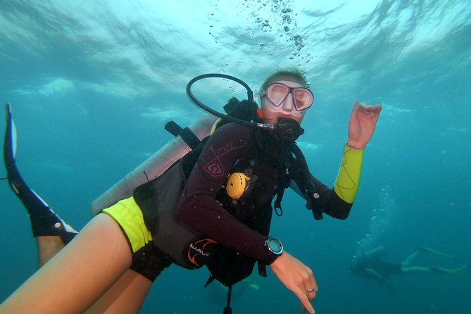 Scuba Diving at Sail Rock From Koh Phangan Certified Divers Only - Certified divers only: who this day is really for