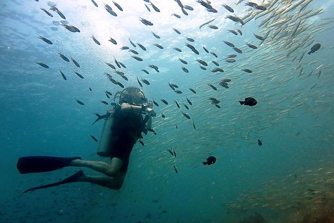 Scuba Diving Day Trip at Koh Chang – 2 Dives - Key things that make this 2-session Ko Chang trip worth your time