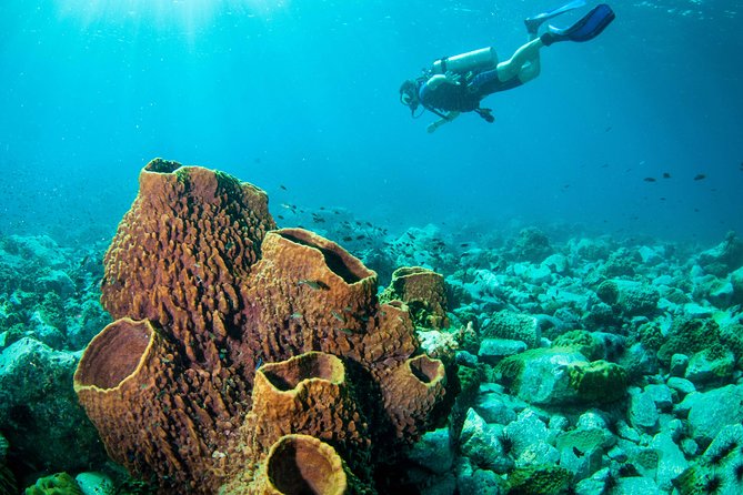 Scuba Diving Day Trip at Koh Chang – 2 Dives - The basic setup: 8 hours, 2 sessions, and a smooth morning start