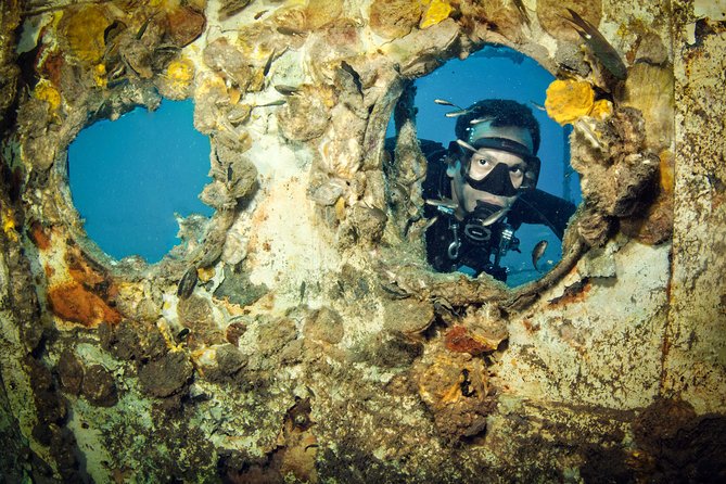 Scuba Diving Day Trip at Koh Chang – 2 Dives - Gear and staff: what you are actually paying for