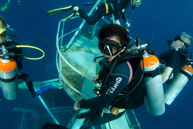 Scuba Diving Day Trip at Koh Chang – 2 Dives - What happens from pickup to boat lunch, step by step