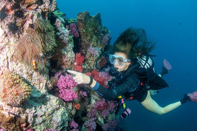 Scuba Diving Daytrip to Racha Yai - Racha Yai From Phuket: a full day that stays simple