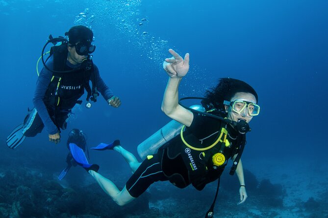 Scuba Diving Daytrip to Racha Yai - What you will see: coral, marine life, and wreck sections