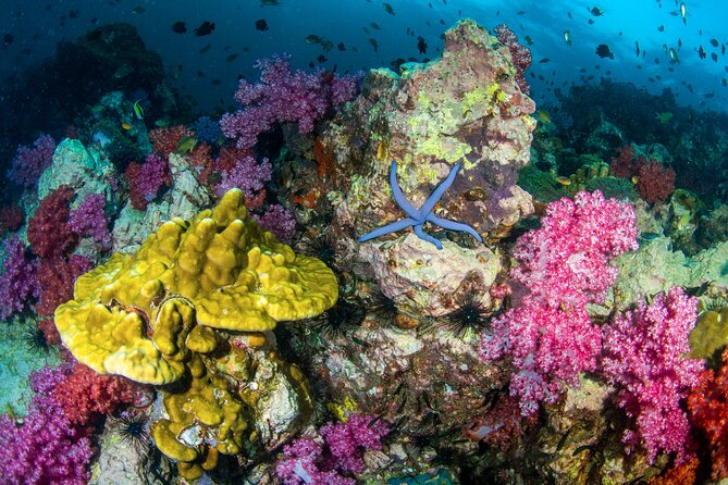 Scuba Diving Daytrip to Racha Yai - Certified vs non-certified: two dive profiles, different depth limits