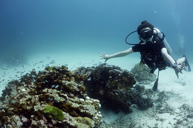 Scuba Diving in Phuket – Full-Day Trip (3 Dives, All Included) - Equipment and coaching: why guides like Bon and Julie stand out