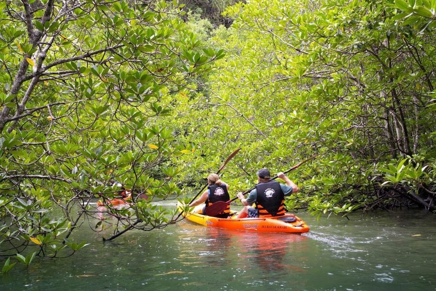 Sea Kayaking in Ao Thalane & Optional Full-Day Hong Island - What you actually do: paddling the narrow channels