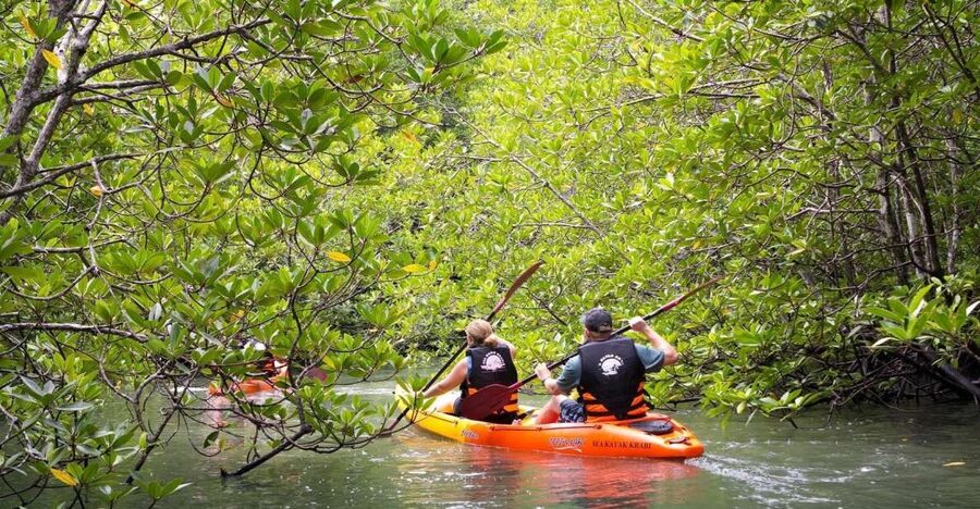 Sea Kayaking in Ao Thalane & Optional Full-Day Hong Island - Hong Island option: limestone towers, lagoon, and snorkeling