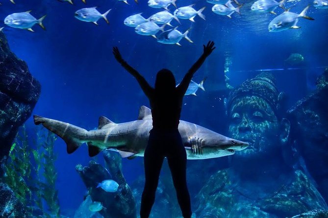 Sea Life Bangkok Ocean World Tickets - Price and logistics: when this $44 ticket bundle makes sense