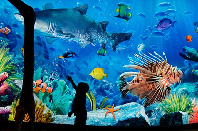 Sea Life Bangkok Ocean World Tickets - Practical tips to make your visit smoother