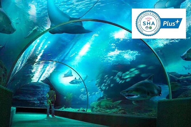 SEA LIFE & Madame Tussauds: Ultimate Bangkok Combo Ticket - Price and What You Get for $55.12