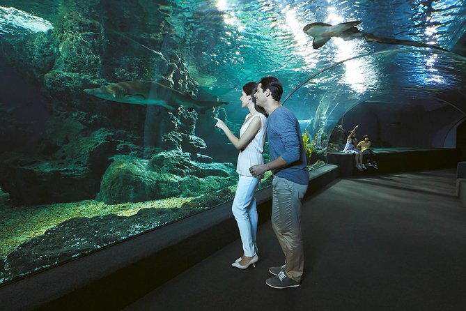 SEA LIFE & Madame Tussauds: Ultimate Bangkok Combo Ticket - Timing Tips for a 2 to 6 Hour Plan in Bangkok