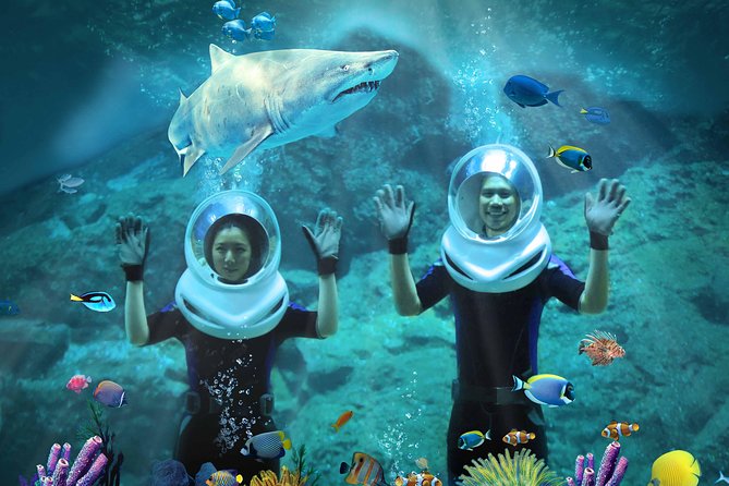 SEA LIFE & Madame Tussauds: Ultimate Bangkok Combo Ticket - Practical Value Check: Who This Bangkok Combo Suits Best