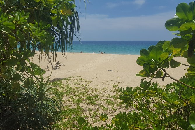 Shoreline Cruise and Secluded Beach - The Boat and Group Size: Why the Pace Feels Better