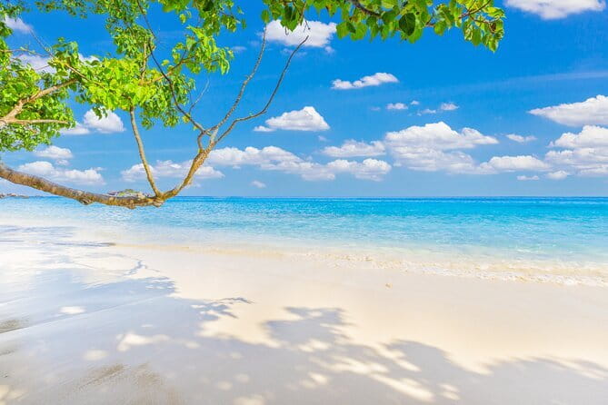 Similan Islands Full Day - Premium - Getting There: Royal Phuket Marina to the Islands