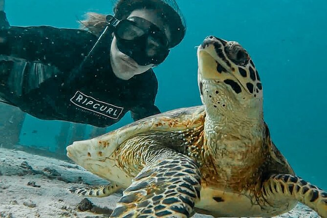 Similan Islands Private Tour - Getting Started at 5 Star Marine: Briefing, Drinks, and Luggage Storage