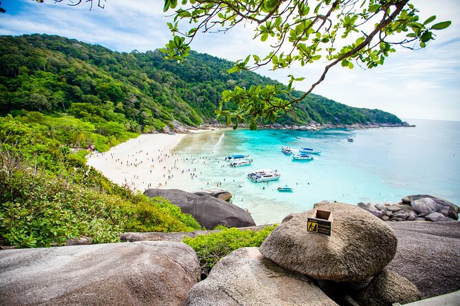 Similan Islands Snorkeling Tour By Seastar Andaman From Phuket - West of Eden spot, then Island 7: quick swims with big timing pressure