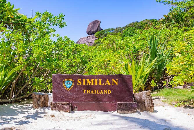 Similan Islands Snorkeling Trip From Phuket - Phuket at 6 AM: hotel pickup, breakfast, and that dolphin chance