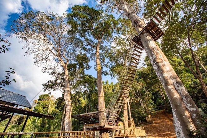 Sky Hawk Zipline Experience in Chiang Mai - Views in real weather: rain plans and how to stay comfortable