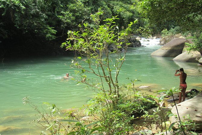 Small-Group Full-Day Khao Sok Nature Tour From Khao Lak - Bamboo Rafting Down the Rainforest River: Slow Views, Big Moments