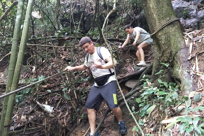 Small-Group Jungle Hiking Excursion in Khao Phra Teaw Park - How the day flows in Khao Phra Teaw National Park