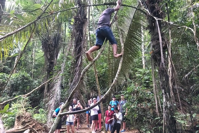 Small-Group Jungle Hiking Excursion in Khao Phra Teaw Park - The waterfalls plan: Tonsai and Bang Pae swim time