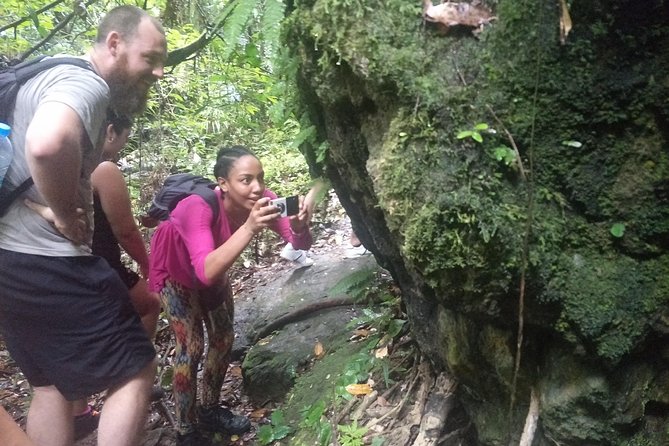 Small-Group Jungle Hiking Excursion in Khao Phra Teaw Park - Lunch at the end: what to expect from the included Thai meal