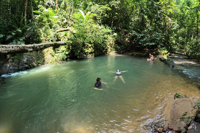 Small-Group Jungle Hiking Excursion in Khao Phra Teaw Park - Pickup, timing, and the small-group advantage