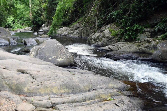 Small-Group Pala U Waterfall Jungle Tour from Hua Hin - Pala-U Waterfall: what the jungle walk is really like