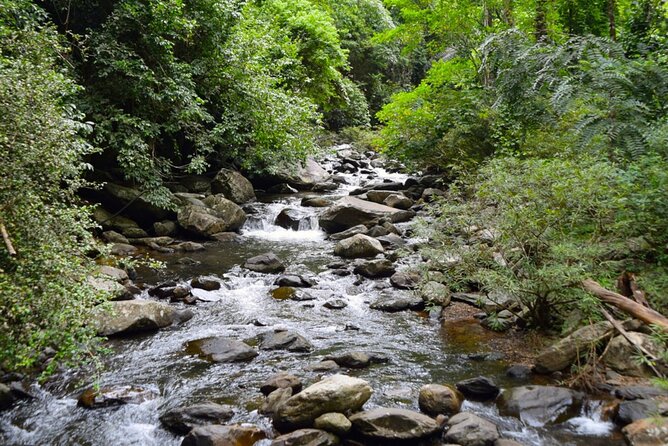 Small-Group Pala U Waterfall Jungle Tour from Hua Hin - Lunch at a local Thai restaurant, with real recovery time